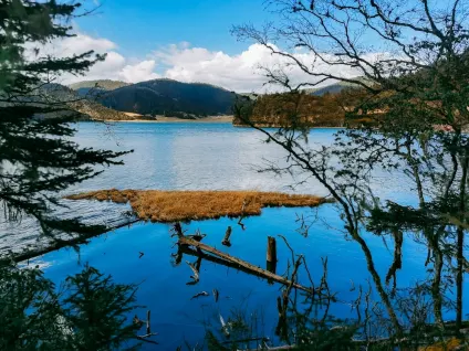 WagonBet Cazinou Aplicație mobilă